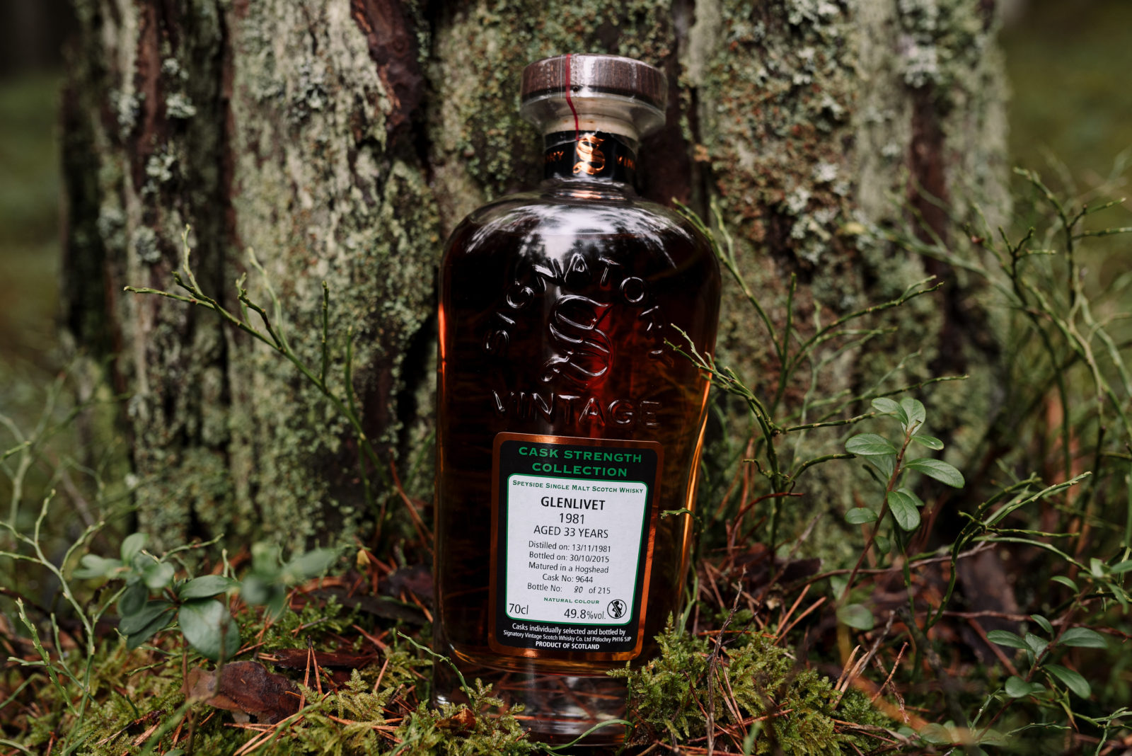 Glenlivet 33 Year Old by Signatory